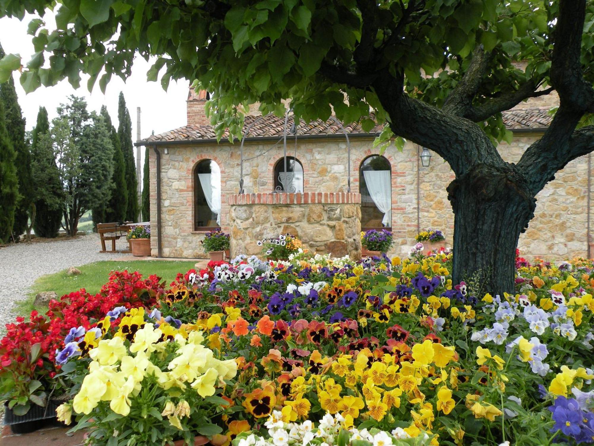 Agriturismo Bonello Villa Pienza Exterior photo